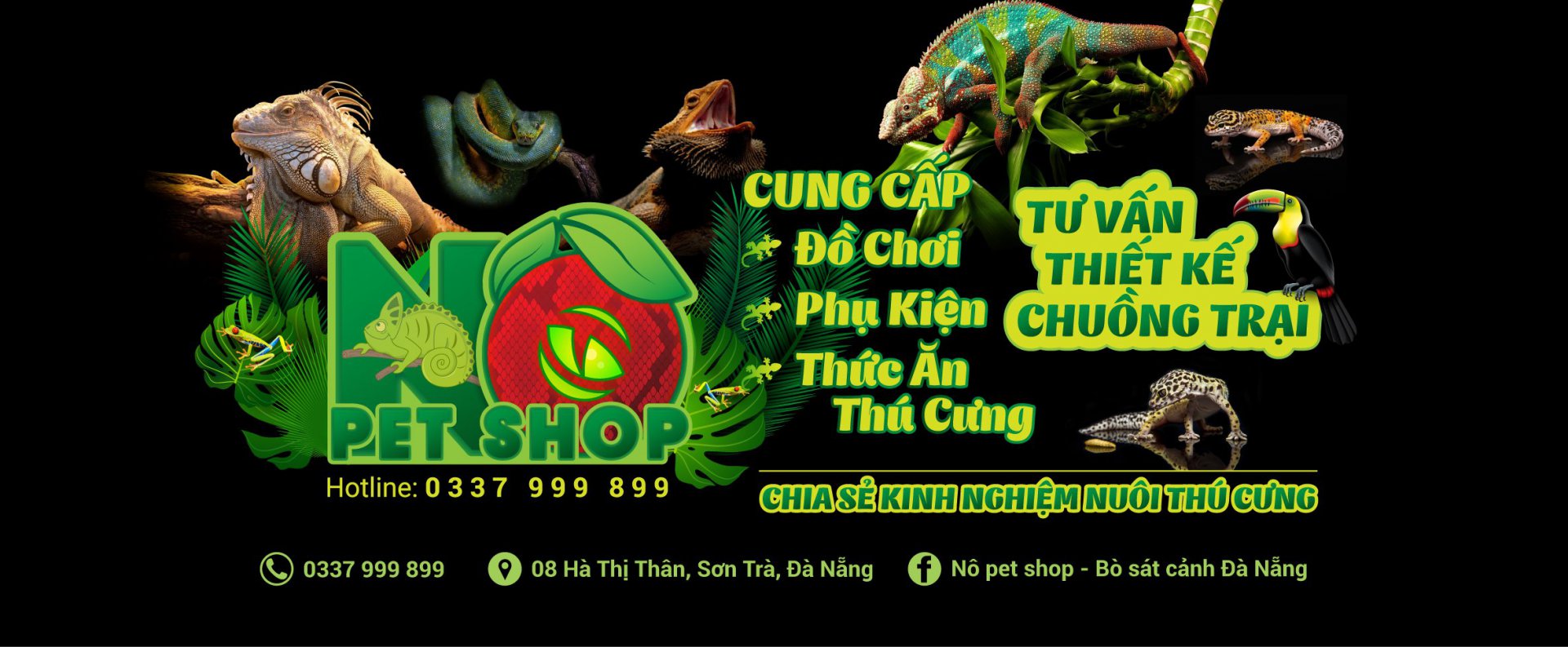 Nô pet shop - Bò sát cảnh Đà Nẵng